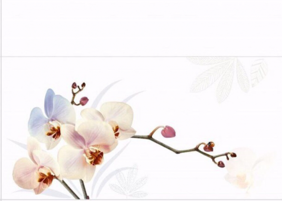 Dòng gạch 300x600 mẫu 3105